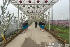 沪苏交界“共享繁花”图片