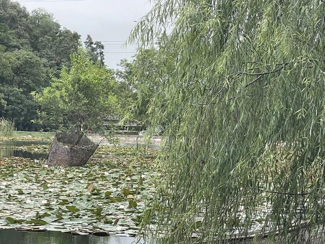 骑游滁州西神山寺森林公园花山风景线
