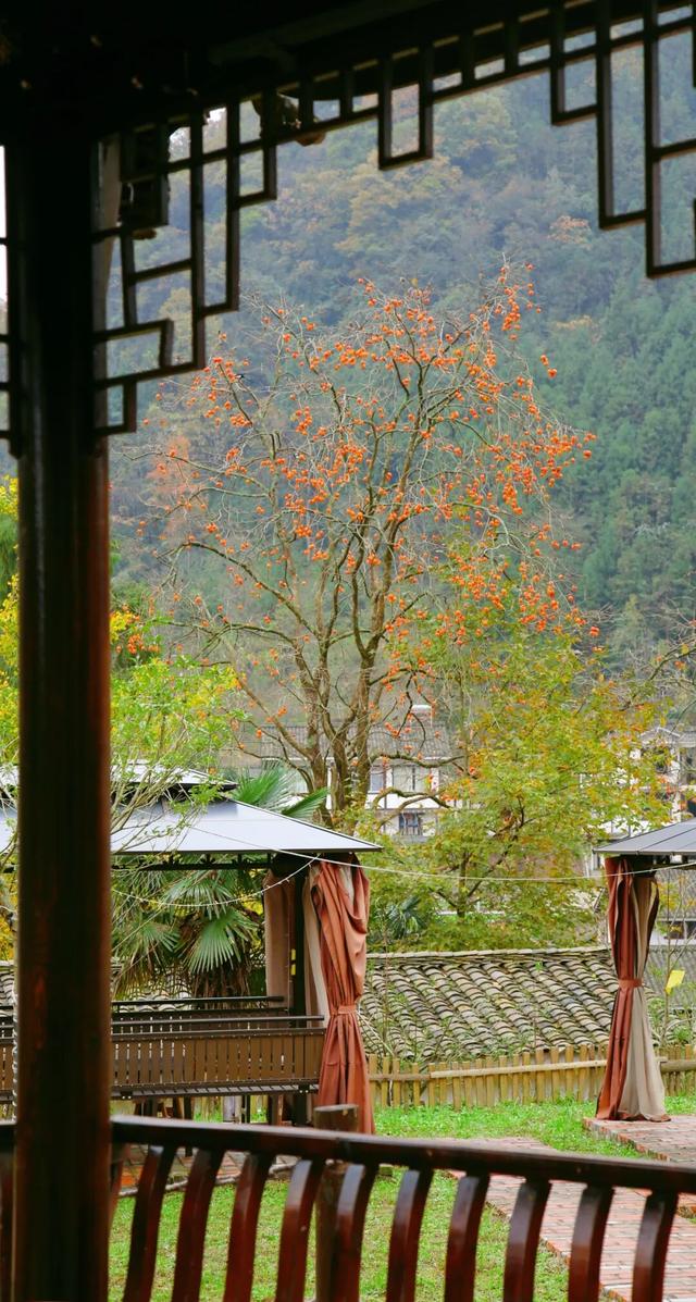 来广元月坝，解锁一场“多巴胺”初冬