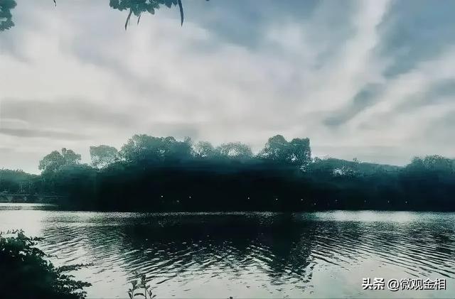 一年四季都可以去打卡的城市绿州麓湖