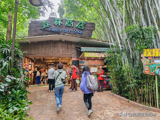 参观广州长隆野生动物园，全程感觉眼累手累腿不累