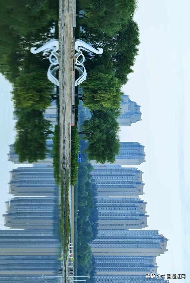 辽河公园 城市里的绿色客厅