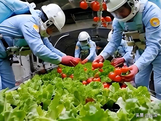 美国飞船要24小时，中国只要3.5小时！神舟二十一号藏啥秘密？