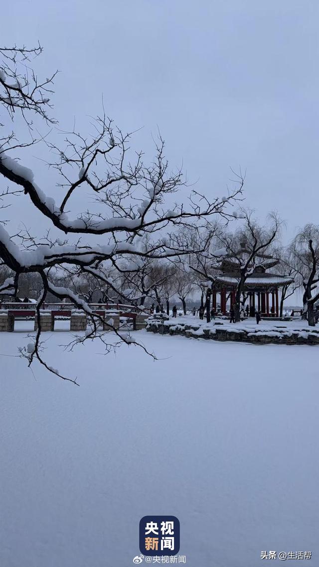 转存！一场雪颐和园美成了国画