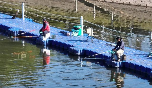 露营、垂钓……富阳这个村游客不断，越来越红火！