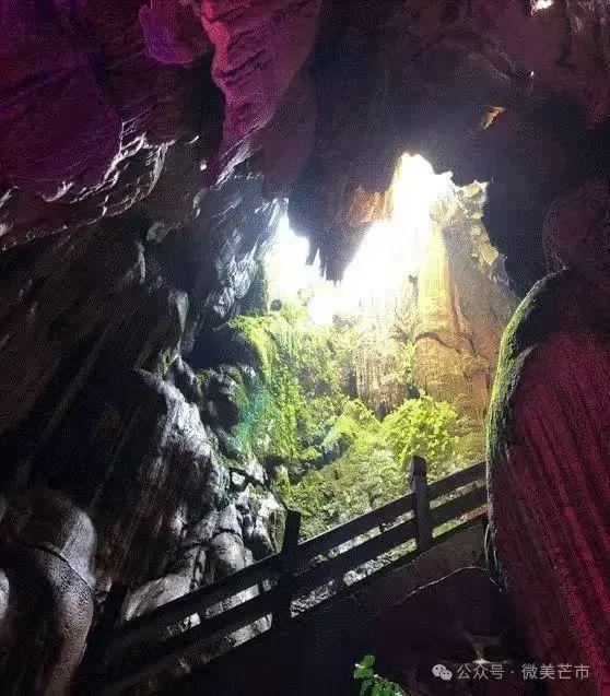 雨林深呼吸：探寻芒市雨季的“绿野仙踪”