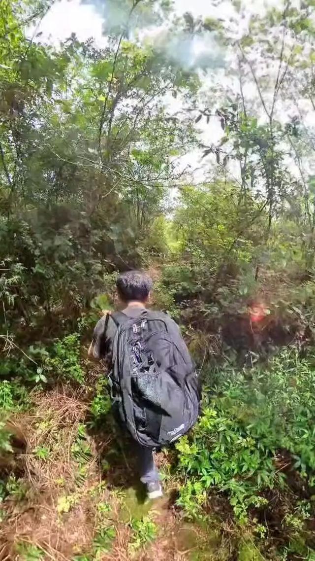 重庆北碚有一座濒临消失的古寨，寨主竟曾是美国总统罗斯福的同学