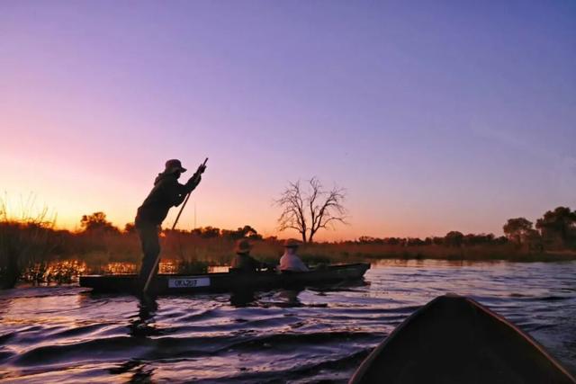 2026封神旅行清单！非洲五国（南非/东非）23天狂野之旅，太顶了