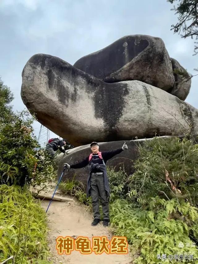 一步一景,奇石不断!温州这处奇石纷呈的的免费景区你可去过?