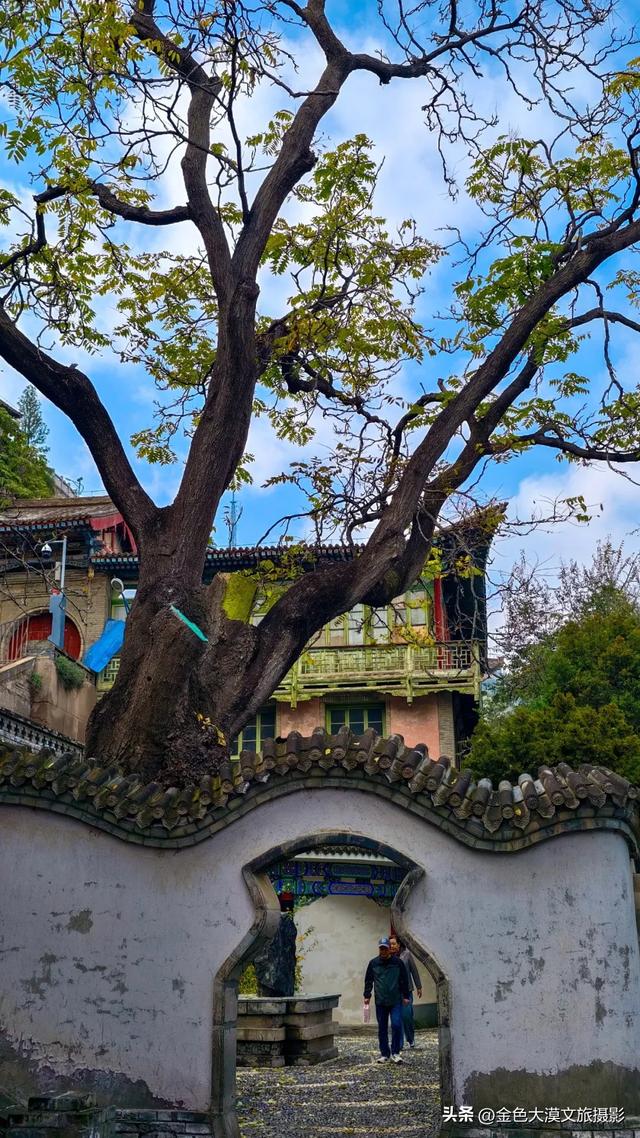 秋染五泉山:兰州城畔的千年诗意与一季斑斓