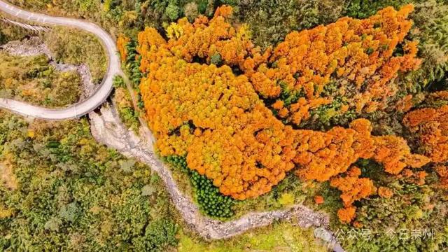 漫山彩林，琉璃坝的色彩美学