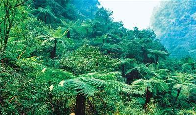 世界上只有中国四川泸州市才有的全球“独一无二的8大奇景”