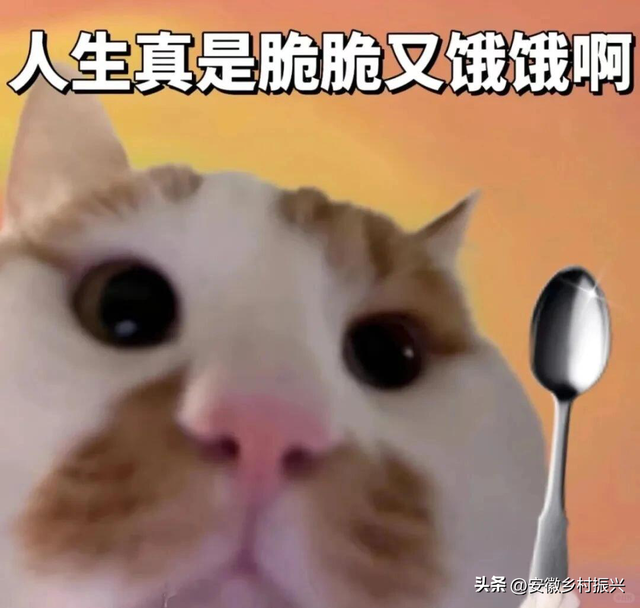 贵州人民吃这么好！！