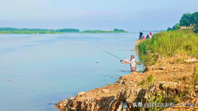 沅江南洞庭湖：一张会呼吸的湿地名片，等你来深呼吸！