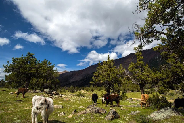 21湖暗藏玄机？传说西藏这片湖能洗净尘世烦忧