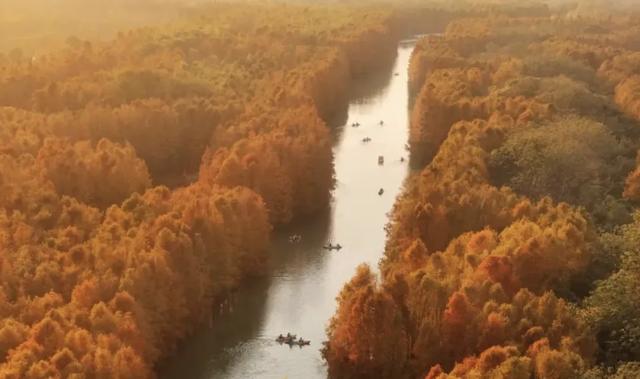 周五宠粉日|3条宝藏慢跑路线解锁秋日运动活力,文末还有海湾国家森林公园门票相赠!