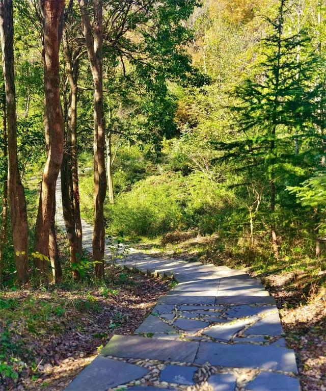 国际山岳日|今天适合爬山~