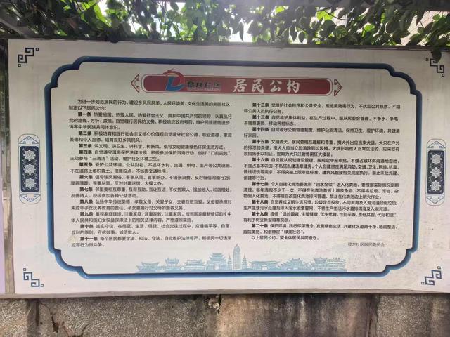 走进满江街道登龙村