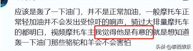 反转！游客被青海牧民殴打，是游客有错在先，7只骆驼遭惊吓丢失