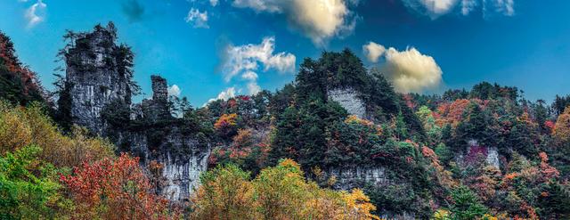 上坝彩林 彩林坝上