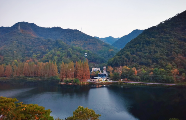 杭州秋冬的“多巴胺”美景来啦～