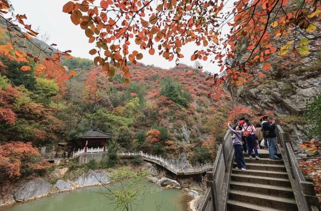 这才是秋天该有的样子~