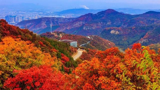 一把手必须懂｜旅游景区合作运营六种模式和六大要点