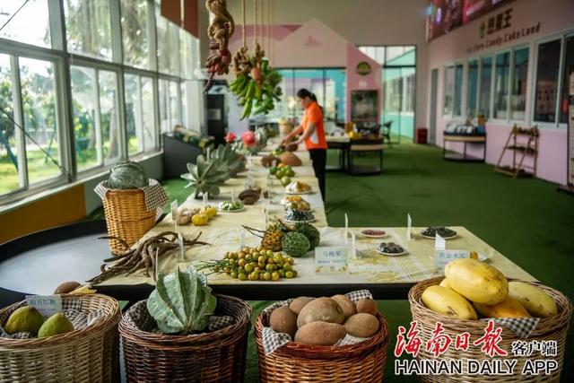 “Hainan Travel”新攻略来了！GO GO GO~