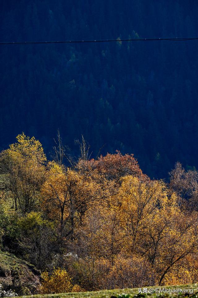 古意秋风三万里（D29）-从卓尼到迭部