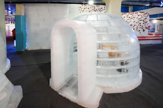 -8℃冰封最美海棠！和平区建“尔滨”同款冰雪世界，365天随时玩雪