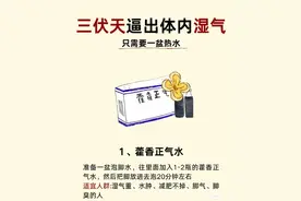 藿香正气水如何在三伏天发挥它的神奇之处？图片
