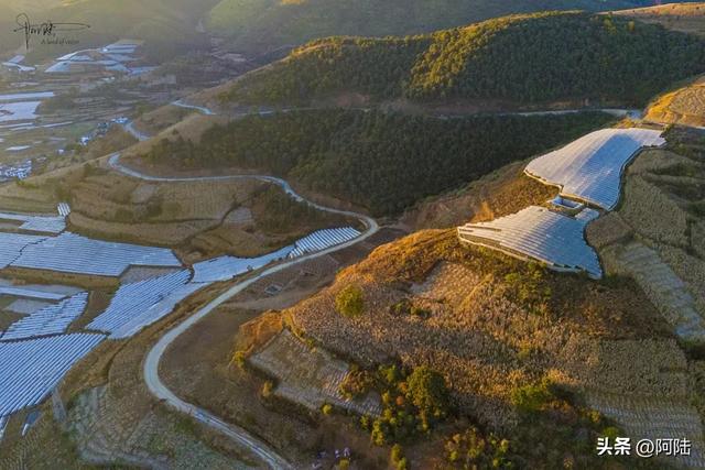 如果你正在大理摆烂,这条被果园包围的乡村小道很值得去跑一跑