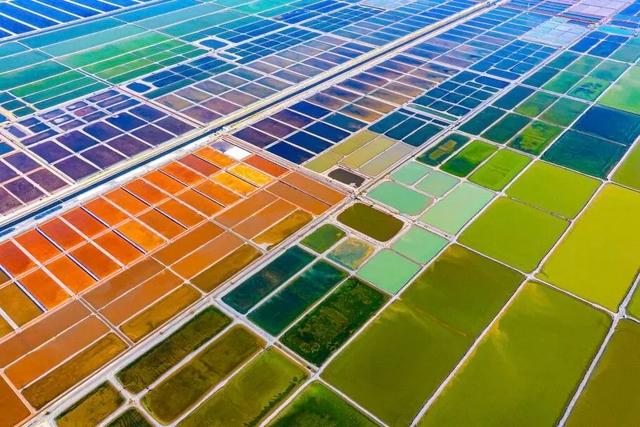 【乐亭时事】三色交融美如画 一路畅游“乐港岛”