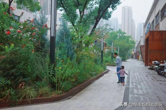 长沙妈妈私藏！河西新晋遛娃宝地，竟藏着“清迈”同款松弛感