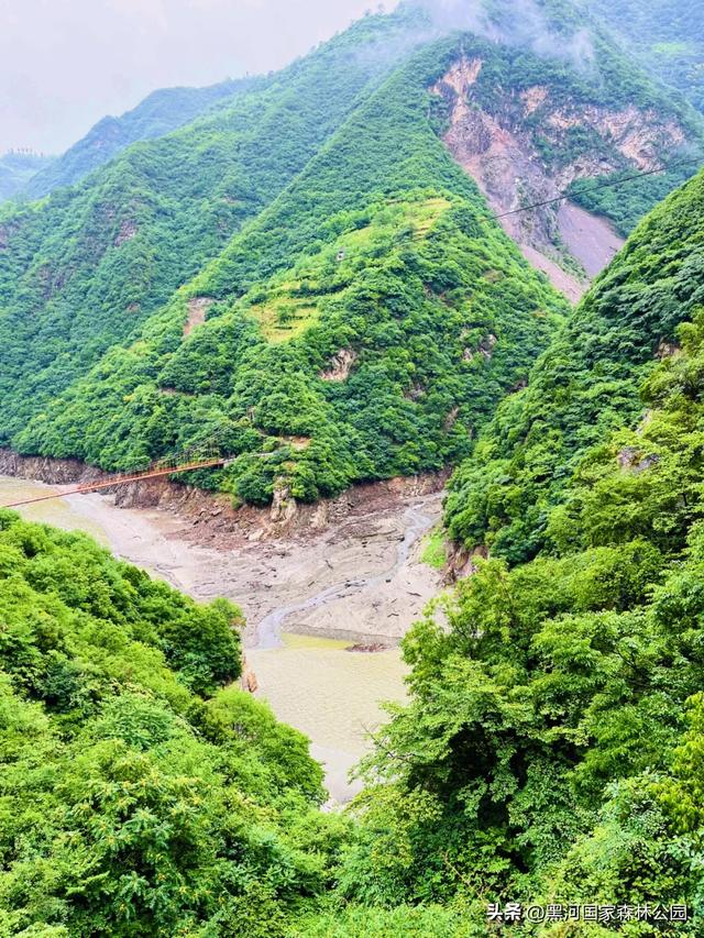 云端漫游,共赏黑河 | 提前解锁初秋的第一份美好