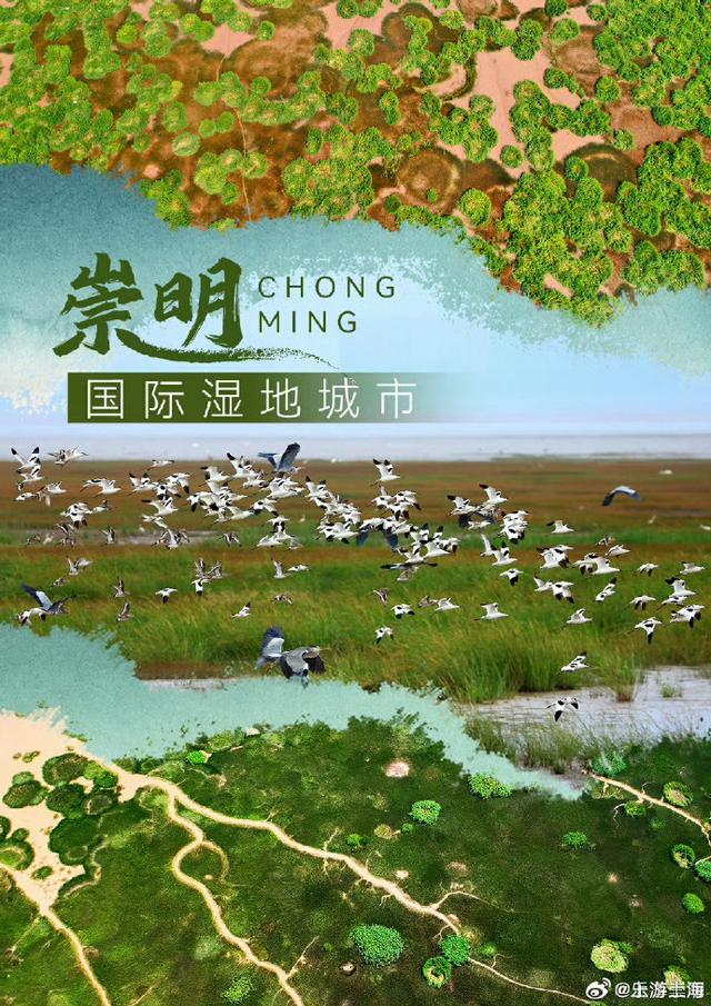 一组海报解锁国际认证的湿地天堂！