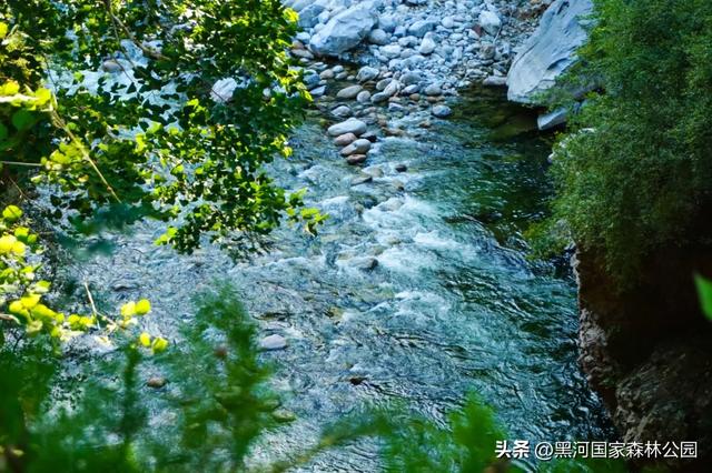 初秋第一站，自驾黑河！陕西秘境解锁盛夏余韵与初秋舒爽