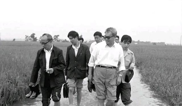 他曾是华老的接班人，后官至副国级，晚年却选择归隐田园，他是谁