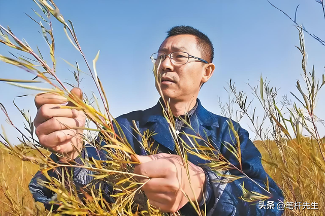 从死亡沙海到满眼翠绿！毛乌素70年蜕变，成中国首个将消失沙地