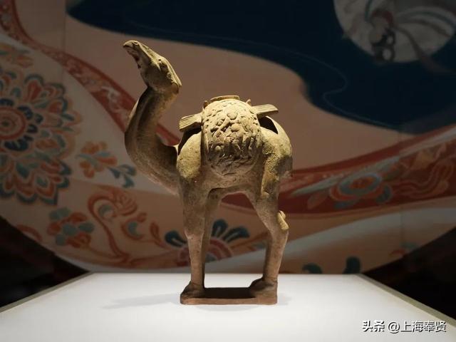 漫游大唐、科幻穿越、公园撒欢……攻略在手说走就走！
