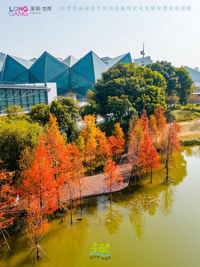 太出片啦！龙岗最浪漫的「美拉德季」即将到来！