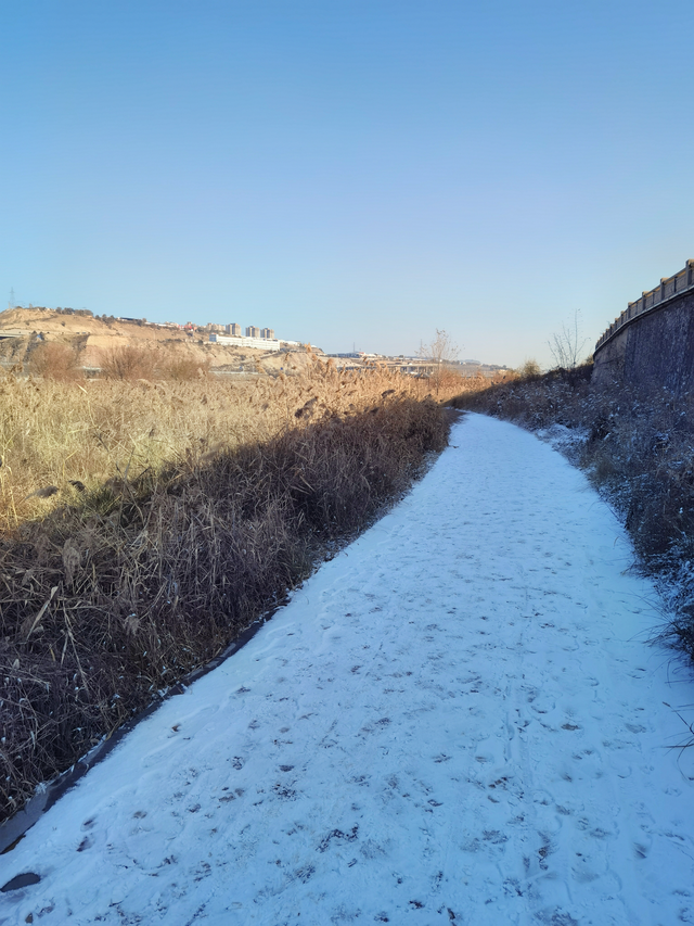 漫步黄河之滨幽静的小路