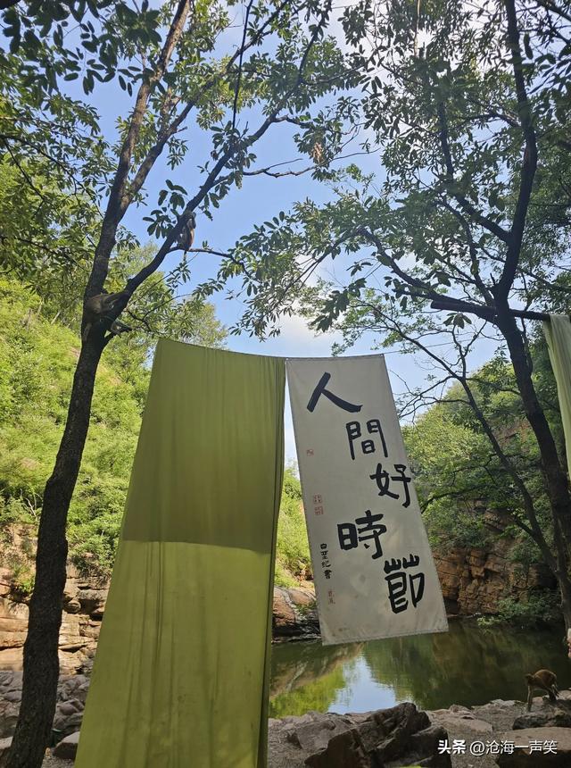 大山里有什么，泉水叮咚，溪水潺潺，山谷悠悠，人声鼎沸