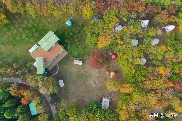 秋色“进度条”加载中，狼山森林公园赏秋点等你来打卡→