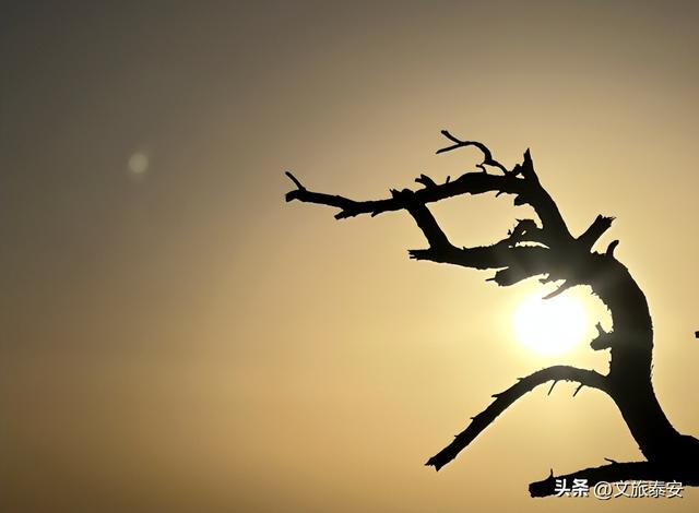 五元纸币隐藏款彩蛋曝光！风景原型地90%游客都走过了界