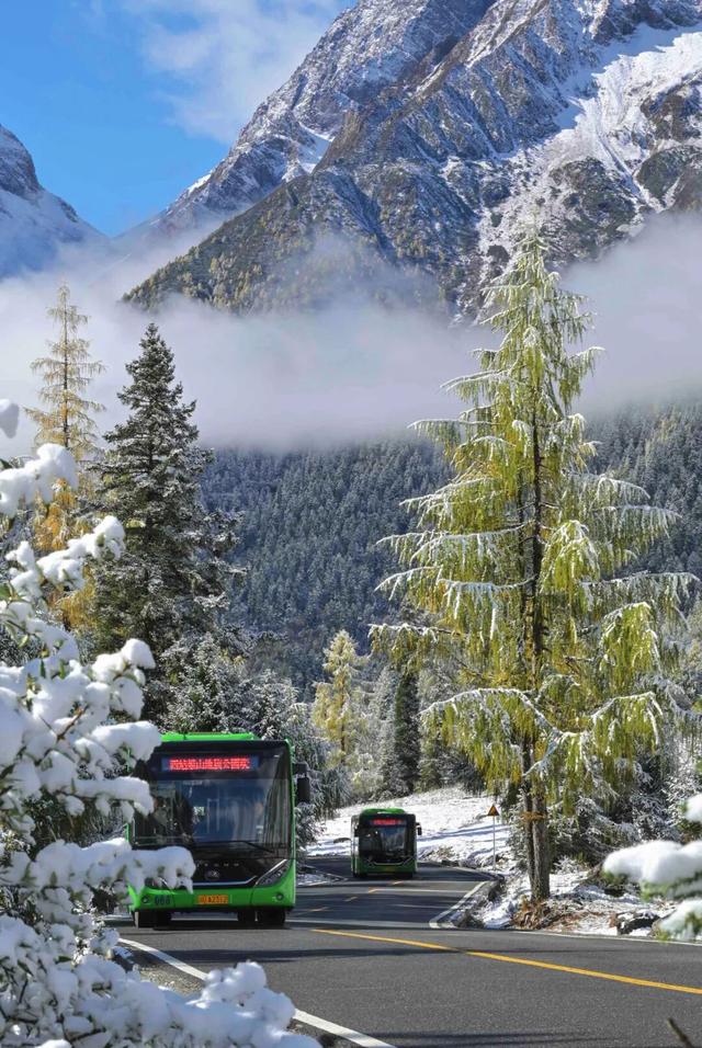 四川人盼初雪的心情谁懂！