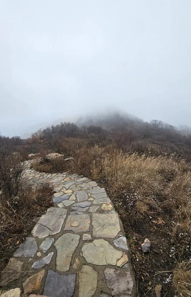 一脚踏进雪与秋的交界处，京郊深山里藏着深秋最温柔的惊喜！​