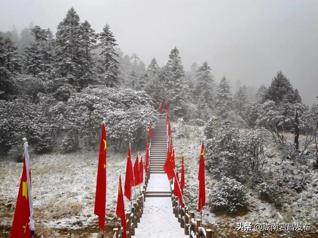 雷古山初雪：云端之上的冰雪絮语