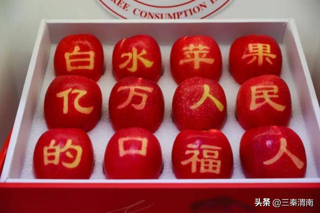 跟着美食畅游渭南|寻味白水 踏古寻幽