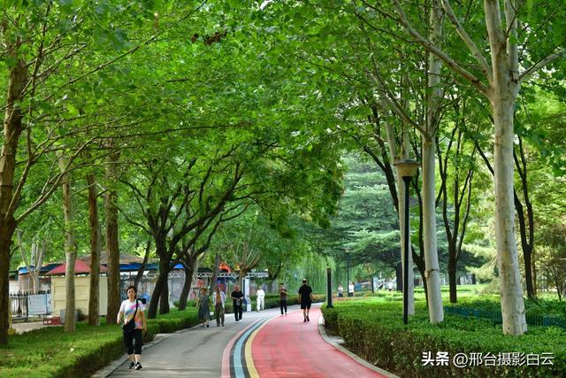 立秋之约：达活泉公园的诗意画卷（图）
